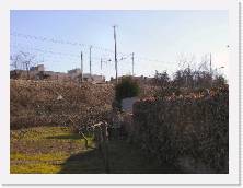 PICT0058 * 2048 x 1536 * (661KB)