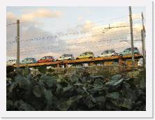 PICT0111 * 2048 x 1536 * (492KB)