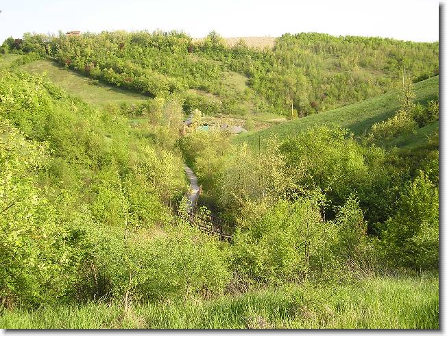 Clicca per scorrere le foto originali ingrandite