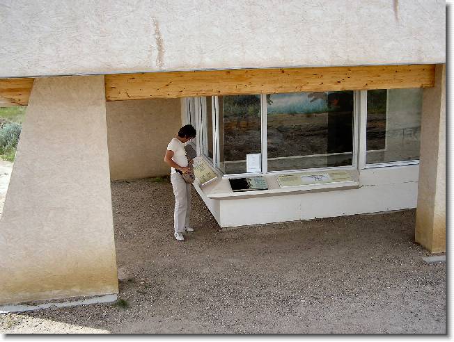 Clicca per scorrere le foto originali ingrandite