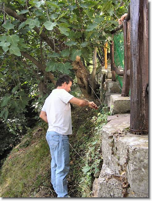 Clicca per scorrere le foto originali ingrandite