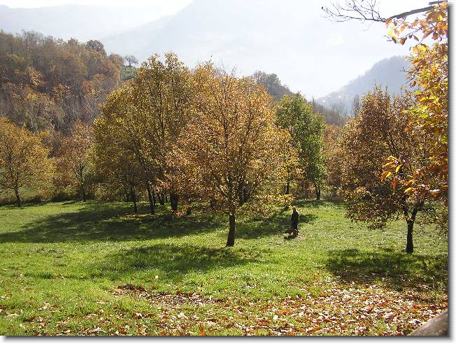 Clicca per scorrere le foto originali ingrandite
