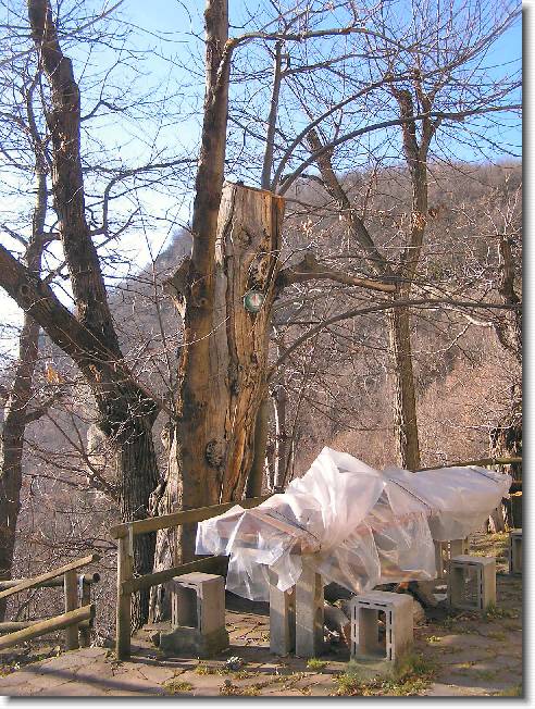 Clicca per scorrere le foto originali ingrandite