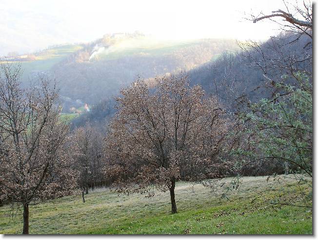 Clicca per scorrere le foto originali ingrandite