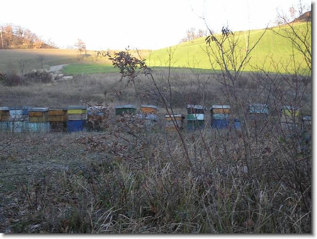 Clicca per scorrere le foto originali ingrandite