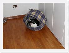 P1000171 * 2048 x 1536 * (1.56MB)