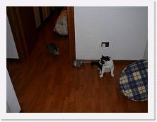 P1000188 * 2048 x 1536 * (1.57MB)