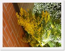 P1000039 * 2048 x 1536 * (1.61MB)