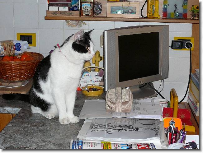 Clicca per scorrere le foto originali ingrandite