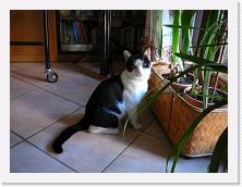 P1000043 * 2048 x 1536 * (1.59MB)