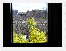 P1000055 * 2048 x 1536 * (1.51MB)