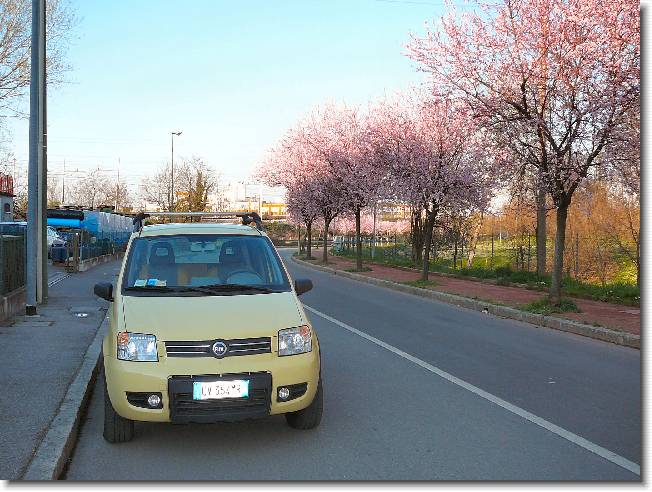 Clicca per scorrere le foto originali ingrandite