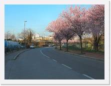 P1000281 * 2048 x 1536 * (729KB)
