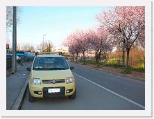 P1000286 * 2048 x 1536 * (801KB)