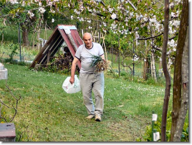 Clicca per scorrere le foto originali ingrandite