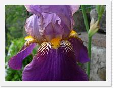 P1000414 * 2048 x 1536 * (1.59MB)