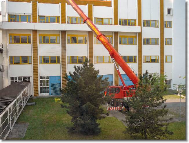 Clicca per scorrere le foto originali ingrandite
