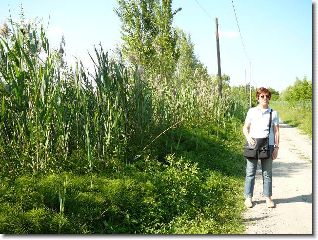 Clicca per scorrere le foto originali ingrandite