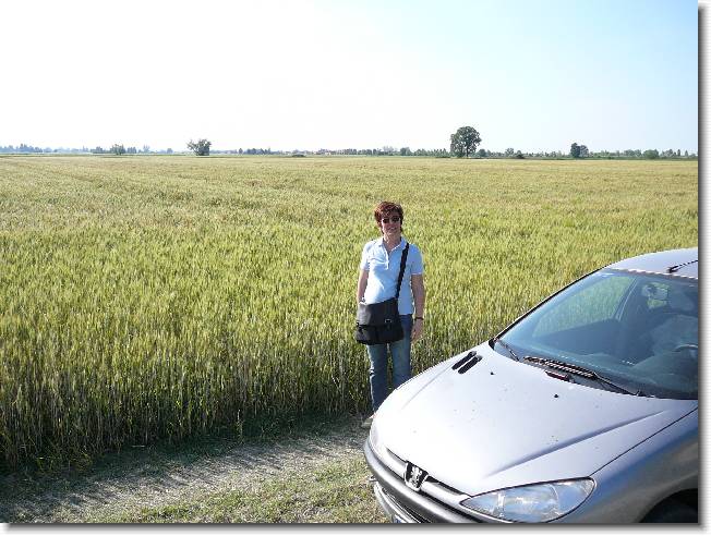 Clicca per scorrere le foto originali ingrandite