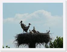 P1000544 * 2048 x 1536 * (1.55MB)