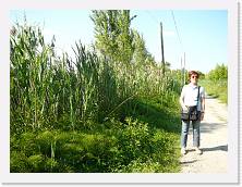 P1000556 * 2048 x 1536 * (1.52MB)