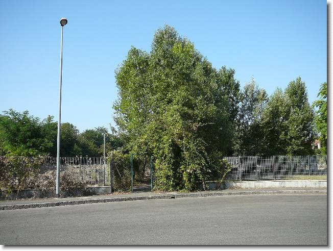 Clicca per scorrere le foto originali ingrandite