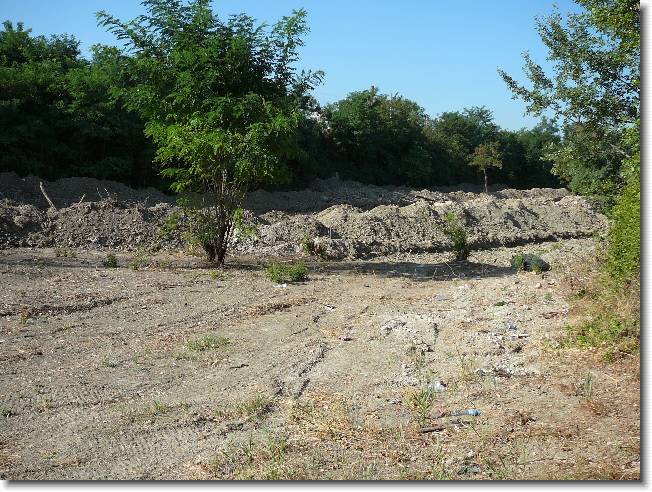 Clicca per scorrere le foto originali ingrandite