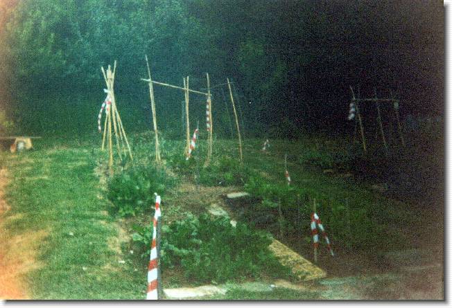 Clicca per scorrere le foto originali ingrandite