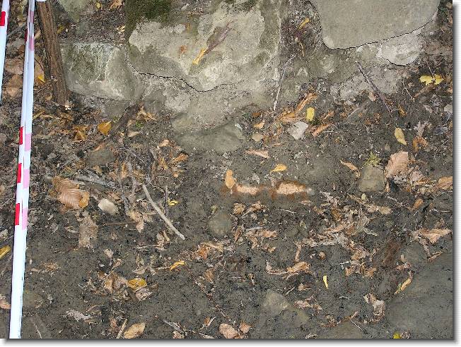 Clicca per scorrere le foto originali ingrandite