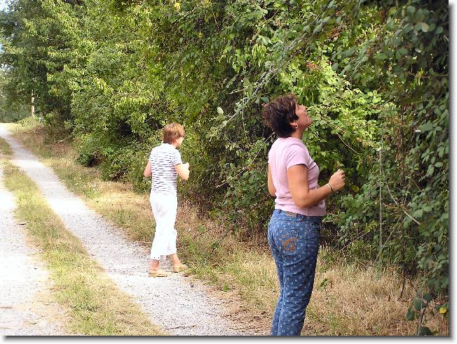 Clicca per scorrere le foto originali ingrandite
