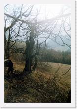 2007_Estate_0012_a * 1190 x 1747 * (347KB)