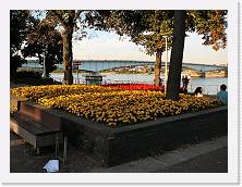 P1000946 * 2048 x 1536 * (893KB)