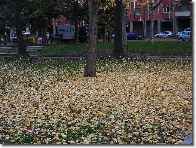 Clicca per scorrere le foto originali ingrandite