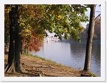 P1010646 * 2048 x 1536 * (715KB)