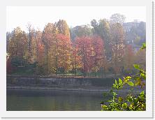 P1010649 * 2048 x 1536 * (648KB)