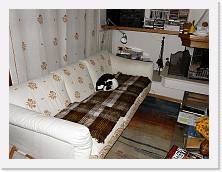 PC090017 * 2048 x 1536 * (507KB)