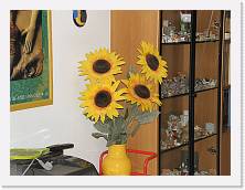 PC090022 * 2048 x 1536 * (551KB)