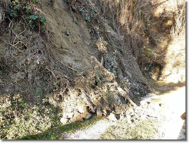Clicca per scorrere le foto originali ingrandite