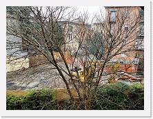 P2030097 * 2037 x 1528 * (1.1MB)