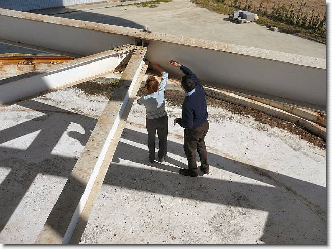 Clicca per scorrere le foto originali ingrandite