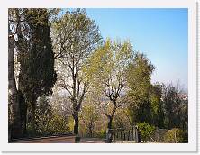 P1010254 * 2048 x 1536 * (983KB)