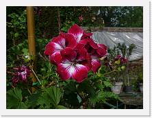 P1010343 * 2048 x 1536 * (1.57MB)