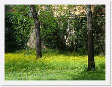 P1010364 * 2048 x 1536 * (1.54MB)