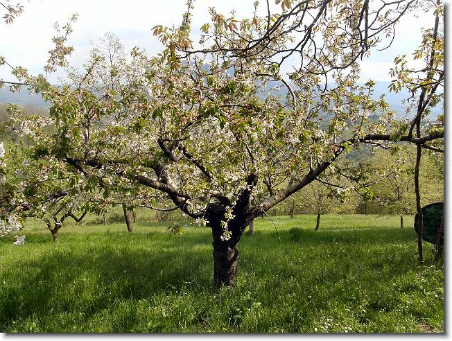 Clicca per scorrere le foto originali ingrandite