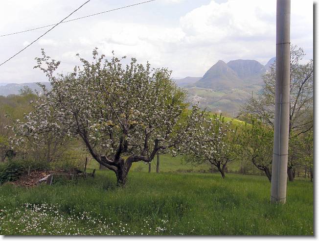 Clicca per scorrere le foto originali ingrandite