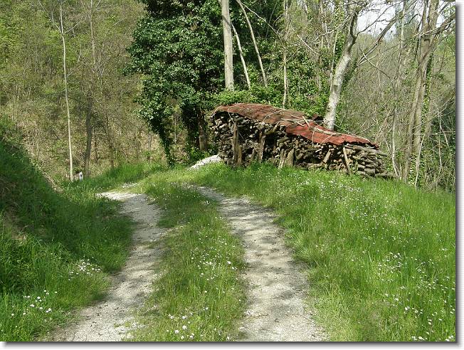 Clicca per scorrere le foto originali ingrandite