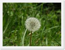 P4250017 * 2048 x 1536 * (1.33MB)