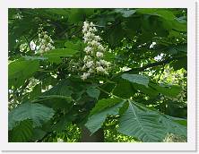 P4250021 * 2048 x 1536 * (1.4MB)