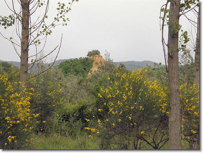 Clicca per scorrere le foto originali ingrandite