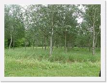 P6020142 * 2048 x 1536 * (1.28MB)